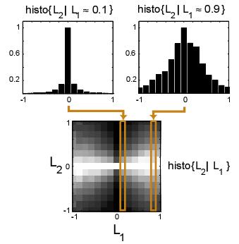 histograms of output coefficients
